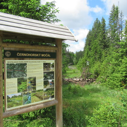 Černohorský močál