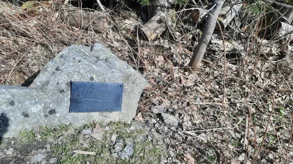 Prameny Vltavy