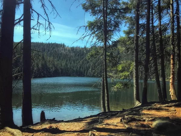Černé jezero - Černé jezero je největší ledovcové jezero na Šumavě